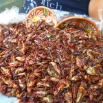 Eating bugs in Oaxaca, Mexico!