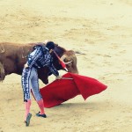 Corrida de Toros… Spanish tradition or animal cruelty?
