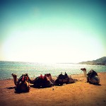 Losing track of time in Dahab…