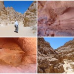 3 tours you should take when you visit Dahab, Egypt!