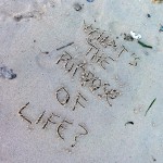 What’s the purpose of life?