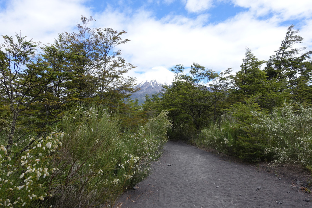  hiking in Vicente Perez Rosales National Park, Puerto Varas, Chile
