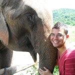 My experience and thoughts on riding elephants in Chiang Mai.