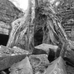 Exploring the temples of Angkor Wat in Black & White.